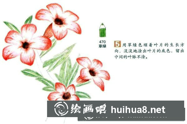 向日葵彩鉛畫怎么畫？彩鉛畫花卉繪畫教程