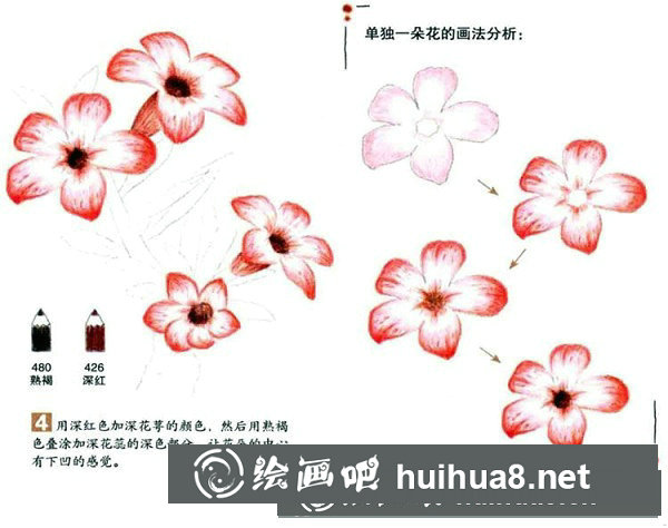 向日葵彩鉛畫怎么畫？彩鉛畫花卉繪畫教程