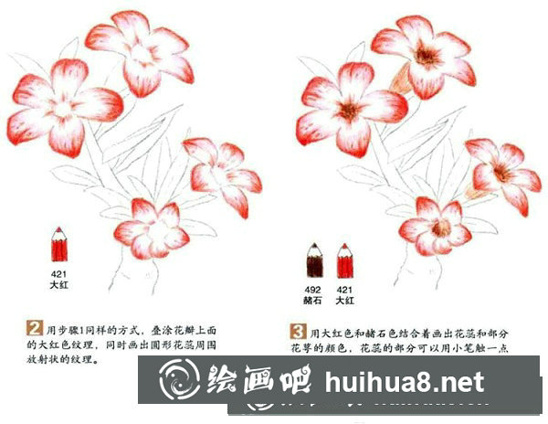 向日葵彩鉛畫怎么畫？彩鉛畫花卉繪畫教程