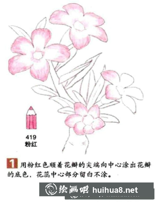 向日葵彩鉛畫怎么畫？彩鉛畫花卉繪畫教程