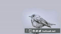 簡易鋼筆畫入門：選對工具很重要