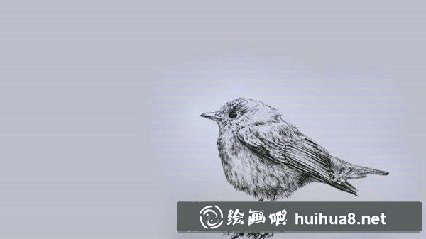 簡易鋼筆畫入門：工具的選擇