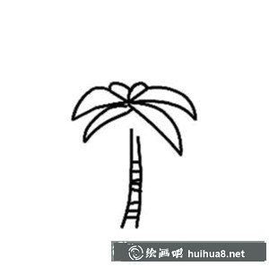 簡筆椰子樹