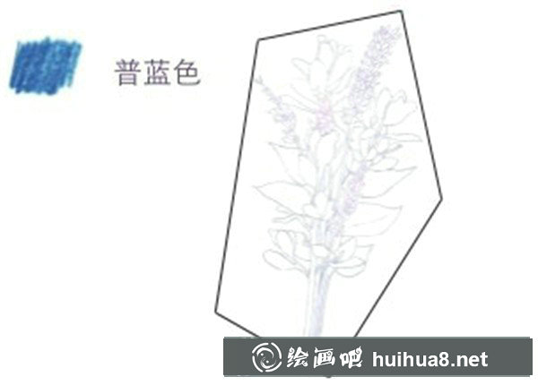 薰衣草彩鉛畫教程