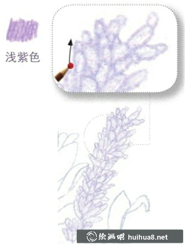 薰衣草彩鉛畫教程