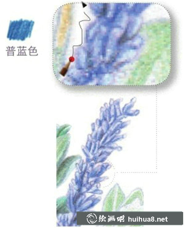 薰衣草彩鉛畫教程