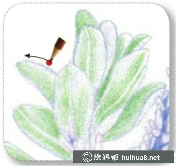 薰衣草彩鉛畫教程
