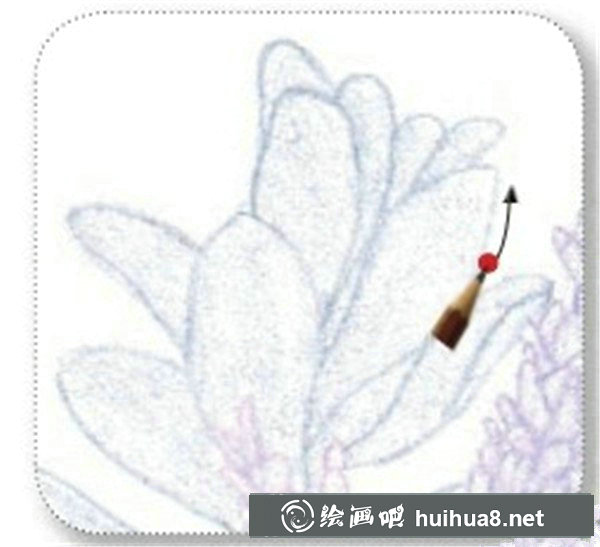 薰衣草彩鉛畫教程