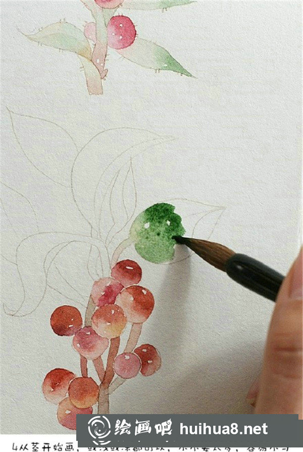 櫻桃的水彩畫怎么畫