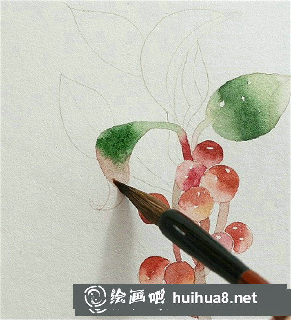 櫻桃的水彩畫怎么畫