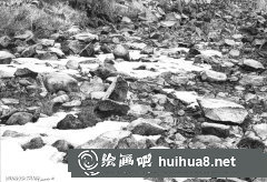 石頭畫法楊雨堂鋼筆教程