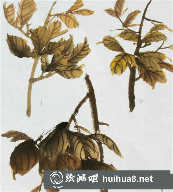 竹葉的畫法