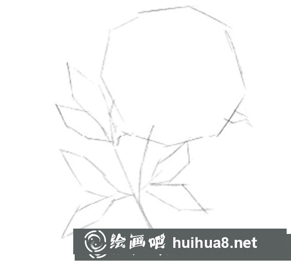 彩鉛牡丹的畫(huà)法步驟