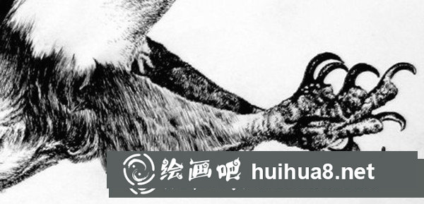 寫實動物鋼筆畫：怎樣表現(xiàn)“禽類”