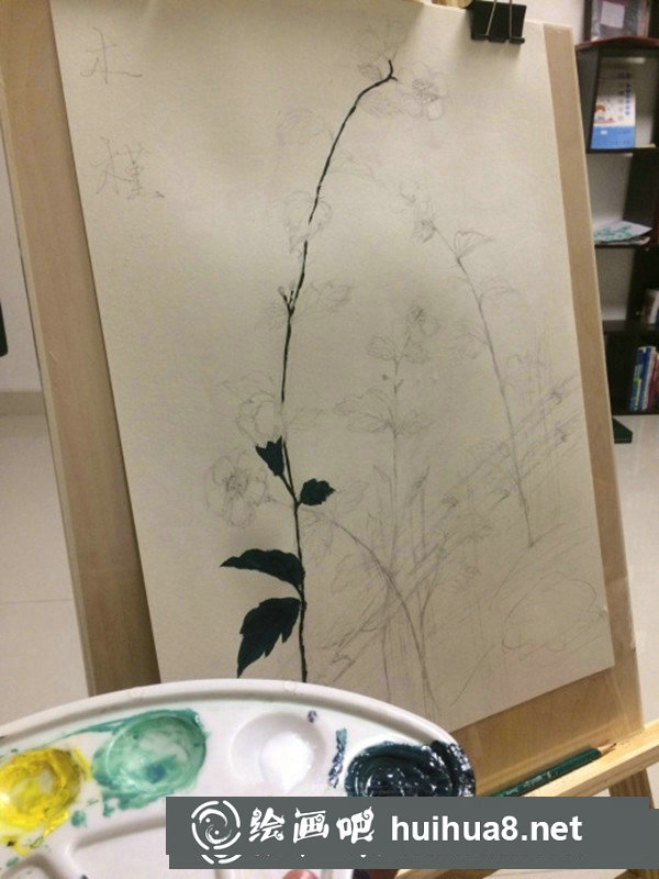 丙烯畫簡單花卉圖步驟：木槿花的畫法