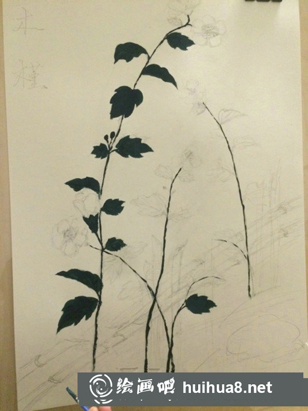 丙烯畫簡單花卉圖步驟：木槿花的畫法