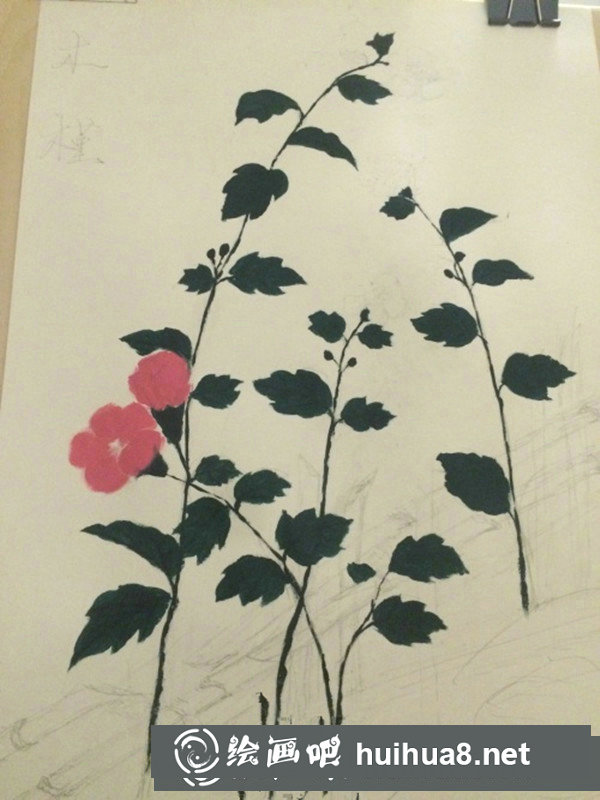 丙烯畫簡單花卉圖步驟：木槿花的畫法
