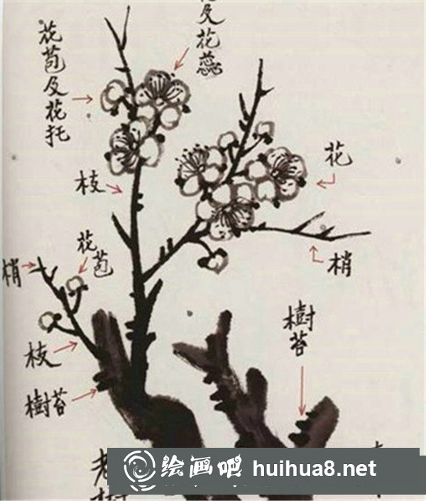國畫梅花花苞畫法 國畫梅花花苞畫法