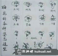 國畫梅花多姿態(tài)美韻