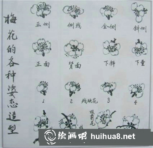 梅花的姿態(tài)