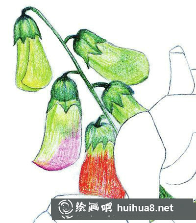 豌豆花怎么畫？簡單水粉畫花卉步驟圖