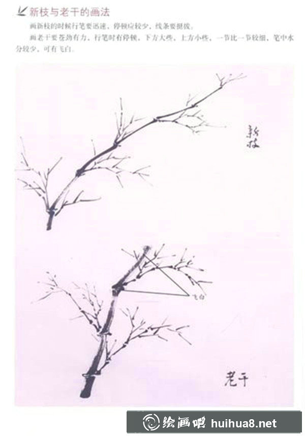 國(guó)畫(huà)竹葉的畫(huà)法步驟