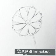 簡單彩鉛花朵教程圖解七色花畫法
