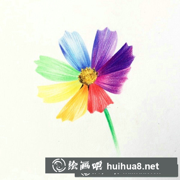 簡(jiǎn)單彩鉛花朵教程圖解:七色花的畫法 簡(jiǎn)單彩鉛花朵教程圖解:七色花的畫法