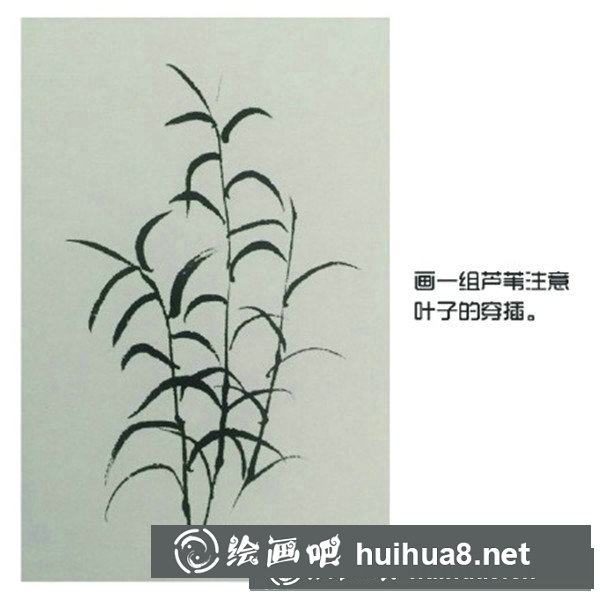 國(guó)畫蘆葦?shù)漠嫹? alt=
