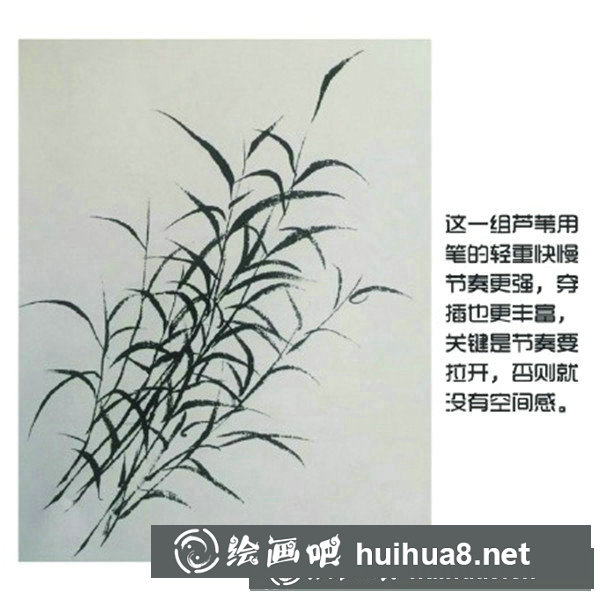 國(guó)畫蘆葦?shù)漠嫹? alt=