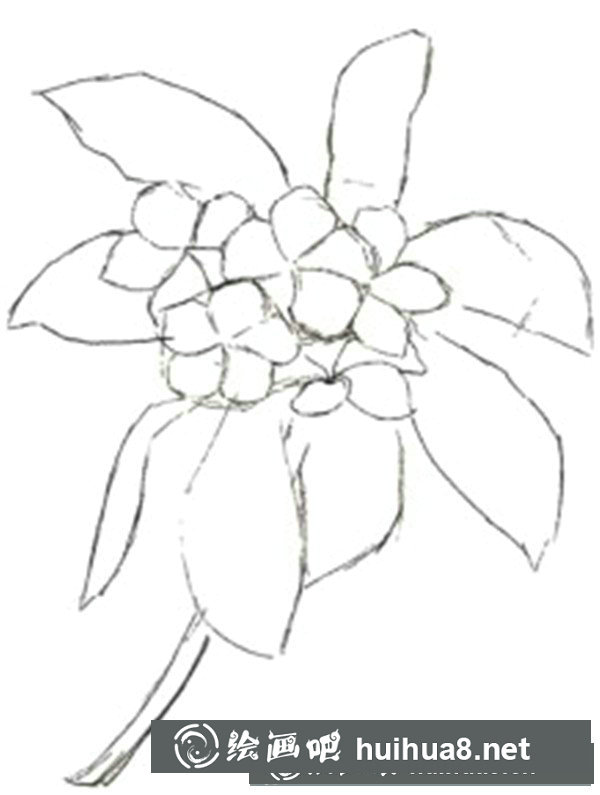雞蛋花水粉畫作品