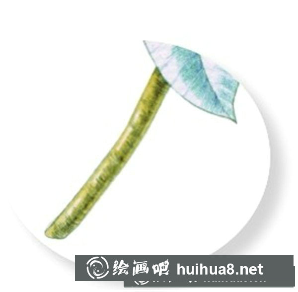 雞蛋花怎么畫？水粉畫花卉畫法圖解