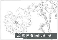 工筆芙蓉花繪法教程揭秘