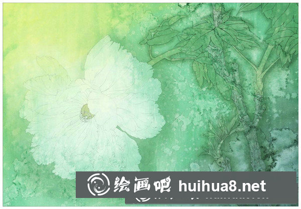 芙蓉花工筆畫