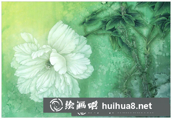 芙蓉花工筆畫
