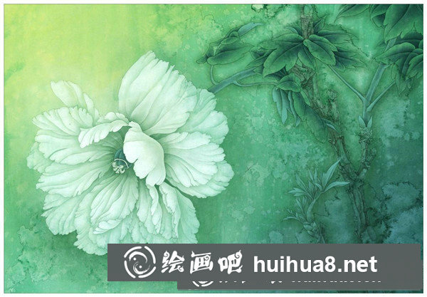 芙蓉花工筆畫