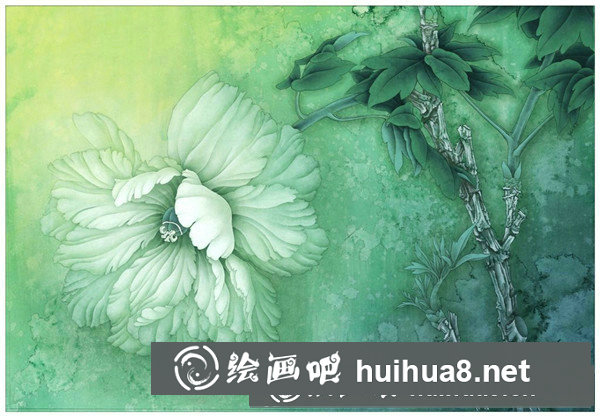 芙蓉花工筆畫