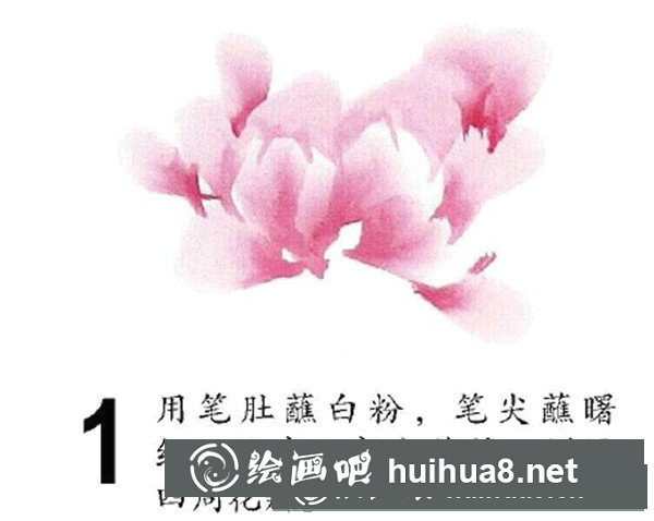 怎樣畫國畫牡丹教程