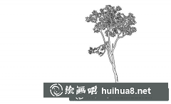 新手鋼筆畫零基礎教程步驟圖解