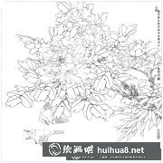 工筆畫芙蓉花國畫入門教程