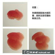 初學(xué)國畫牡丹步驟畫法全解析