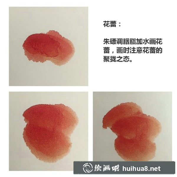 初學(xué)國畫牡丹步驟畫法