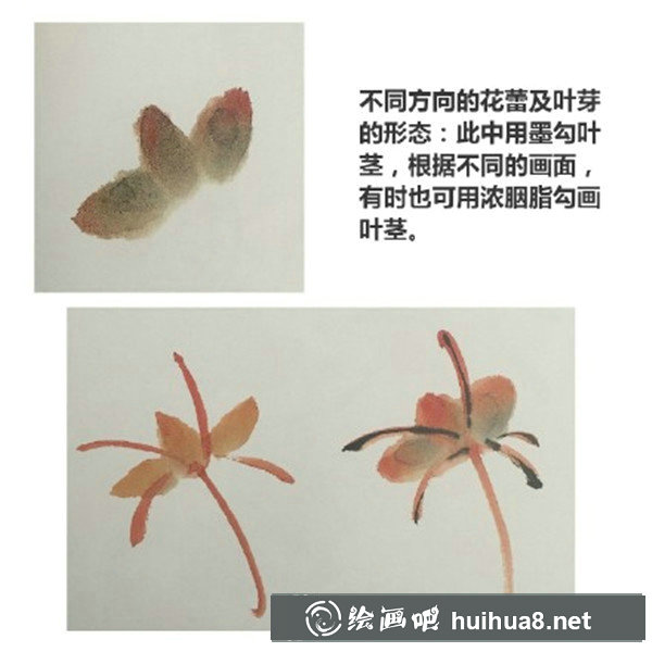 初學(xué)國畫牡丹步驟畫法