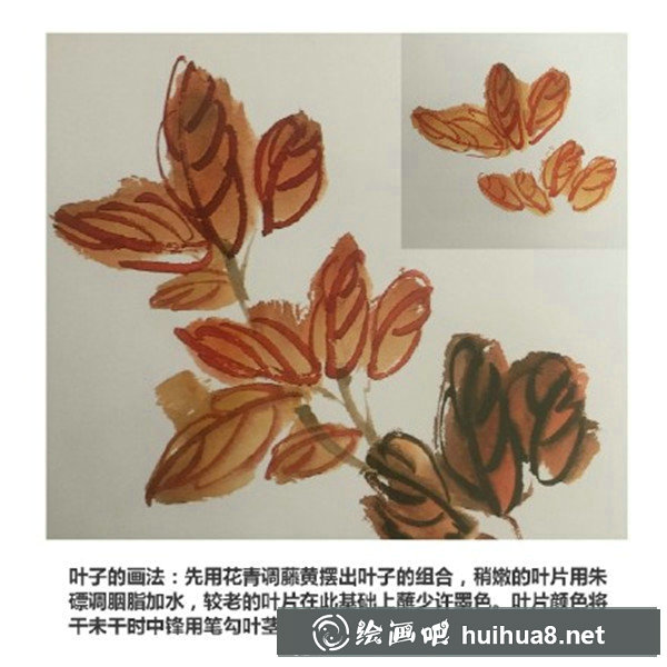 初學(xué)國畫牡丹步驟畫法