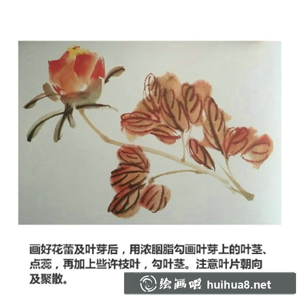 初學(xué)國畫牡丹步驟畫法