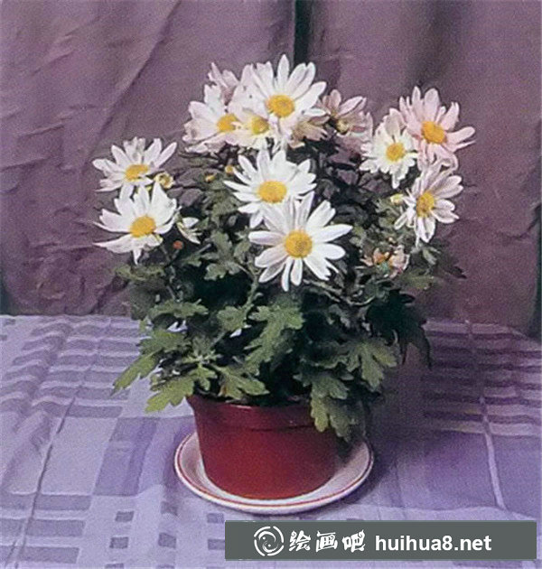 油畫靜物