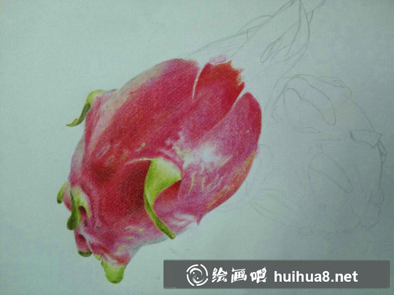 火龍果畫法火龍果彩鉛畫教程