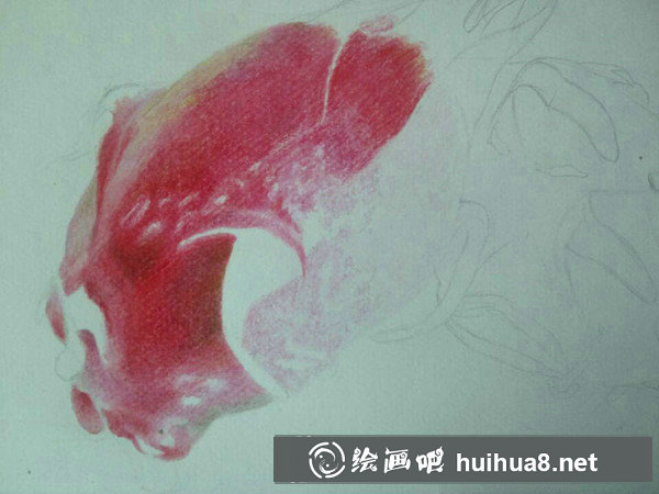火龍果畫法火龍果彩鉛畫教程