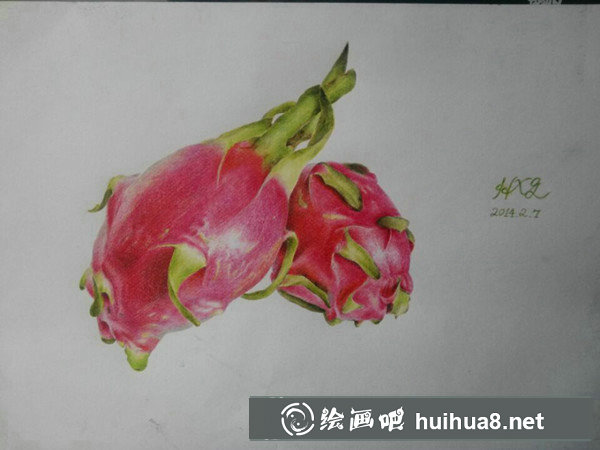 火龍果畫法火龍果彩鉛畫教程