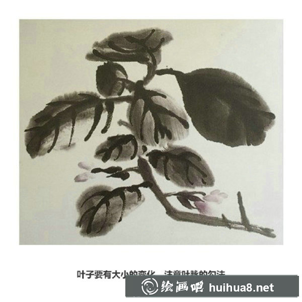 國(guó)畫茄子的畫法教程